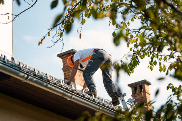Best Tile Roofing Contractor  in Denver, IA