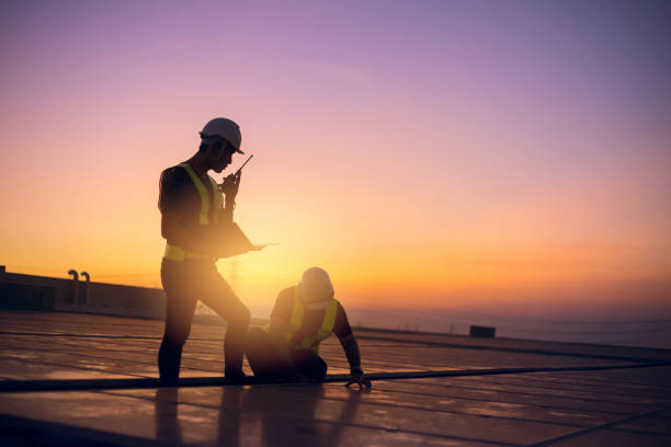 Best Roof Gutter Cleaning  in Denver, IA